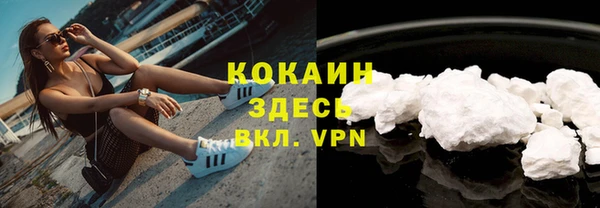 стаф Арсеньев