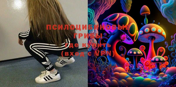 твердый Аркадак