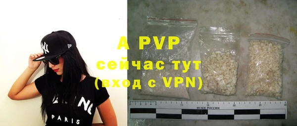твердый Аркадак