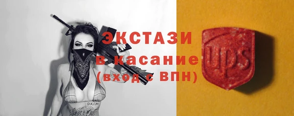 стаф Арсеньев