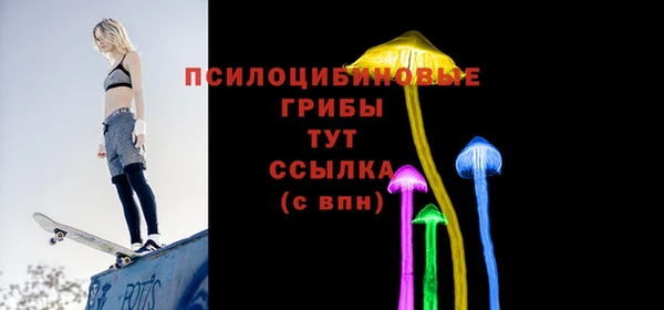 стаф Арсеньев