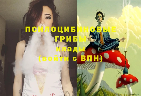твердый Аркадак